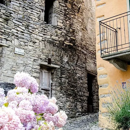 Hintown Thinking Pink * Moltrasio